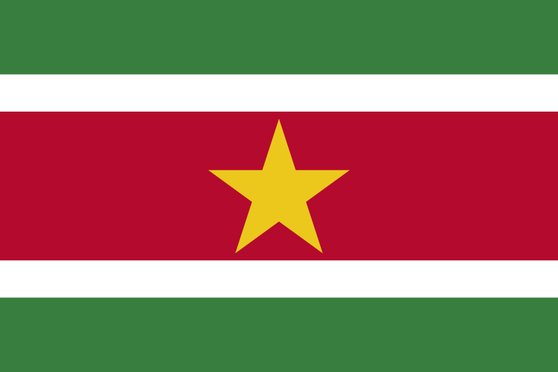 File:Flag of Suriname.png